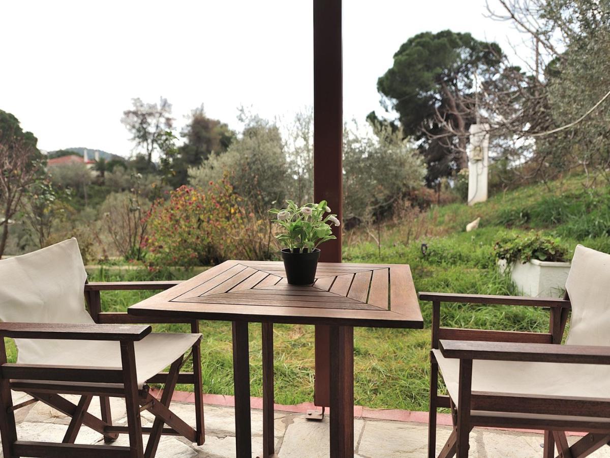 Vista Mare Skiathos Kolios Exterior photo